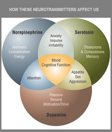 Best Supplements for Brain Health, Brain Balance Vitamins